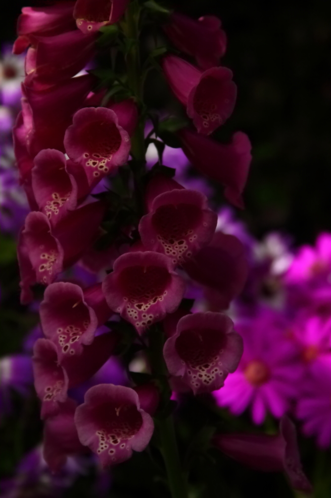 2012 04 13 9999 43